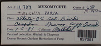 Image Associated With the Occurence